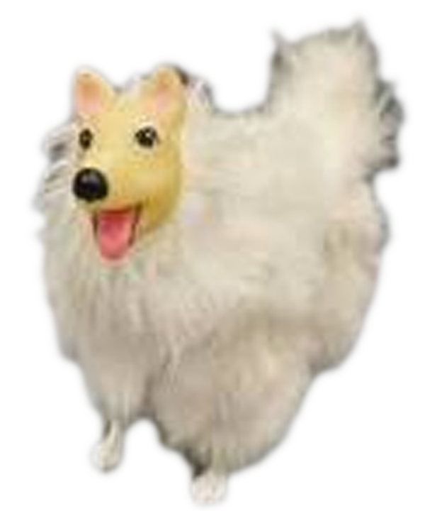 dog2